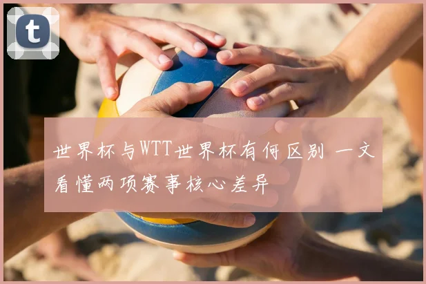 世界杯与WTT世界杯有何区别 一文看懂两项赛事核心差异