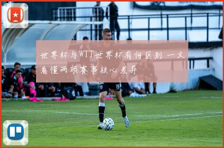 世界杯与WTT世界杯有何区别 一文看懂两项赛事核心差异